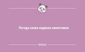 Анекдоты дня: «Погода снова подвела синоптиков…» (8 фото)