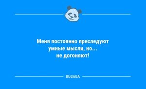 Смешные анекдоты в конце недели: «Меня постоянно преследуют умные мысли…» (10 фото)