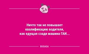 Шутки юмора в середине недели: «Ничто так не повышает квалификацию водителя,...» (11 фото)