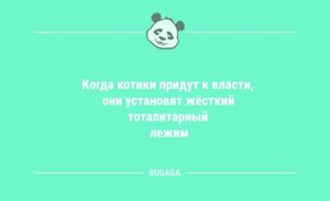 Анекдоты посмеяться: «Когда котики придут к власти…» (9 фото)