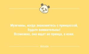 Анекдоты накануне пятницы: «Мужчины, когда знакомитесь с принцессой…» (10 фото)