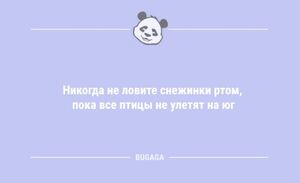 Анекдоты дня: «Никогда не ловите снежинки ртом, пока…» (10 шт)