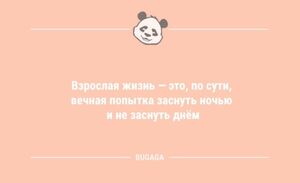 Анекдоты в начале дня: «Взрослая жизнь — это…» (8 шт)