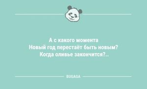 Анекдоты для настроения: «А с какого момента Новый год перестаёт быть новым?» (9 шт)