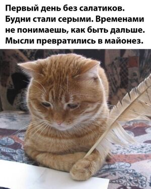 Отличные приколы для настроения