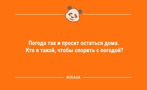 Предпятничные анекдоты: «Погода так и просит остаться дома…» (9 шт)