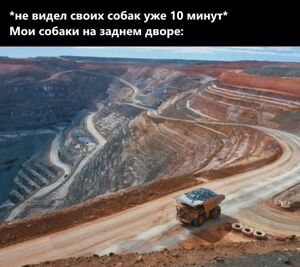 Фотоприколы для всех: «Мои собаки на заднем дворе…» (32 фото)
