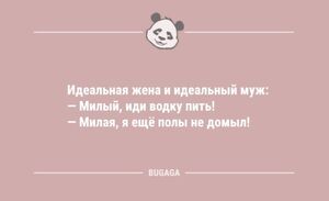 Смешные анекдоты на любой вкус: «Идеальная жена и идеальный муж…» (8 шт)