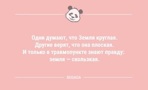 Анекдоты в середине недели: «Одни думают, что Земля круглая…» (10 шт)
