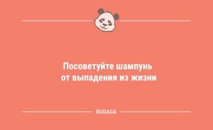 Анекдоты для настроения: «Посоветуйте шампунь от выпадения…» (10 шт)