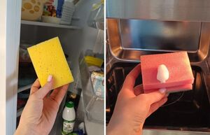 Удивительные свойства кухонной губки: для чего ее замораживать и разогревать в микроволновой печи