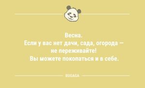 Анекдоты — улыбнуться: «Весна. Если у вас нет дачи…» (12 фото)