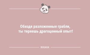 Анекдоты для предпятничного настроения: «Обходя разложенные грабли…» (12 шт)