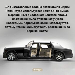 Для изготовления салона Rolls-Royce используется кожа 15-18 быков