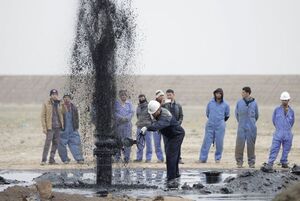 Что будет, если найти на своём земельном участке нефть