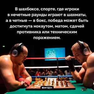 Как победить в шахбоксе