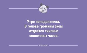 Анекдоты для настроения: «Утро понедельника…» (9 шт)