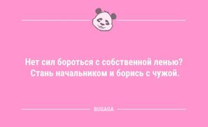 Анекдоты дня: «Нет сил бороться с собственной ленью?..» (8 шт)