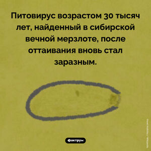 Неубиваемый вирус