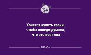Анекдотов свежая порция: «Хочется купить хаски…» (12 фото)