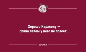 Анекдоты в конце недели: «Хорошо Карлсону…» (10 шт)