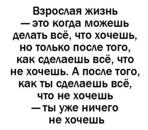 Понедельник – не приговор, а повод для смеха! 