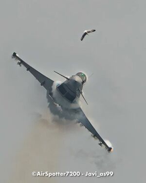 Фотограф запечатлел момент столкновения истребителя Eurofighter Typhoon с птицей