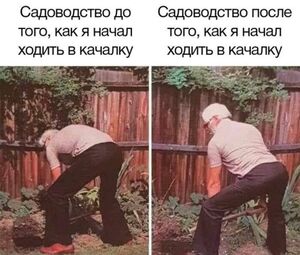 Срочно в номер! Самые смешные картинки и позитивные фото для вашего настроения