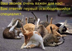 Пятница, ты прекрасна! Лови порцию позитива и смеха перед выходными!
