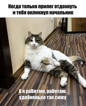 Ура, выходные! 