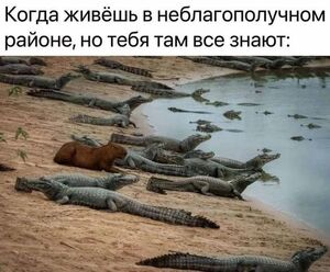 Выходные на позитиве: подборка мемов и картинок, которая гарантированно поднимет настроение!
