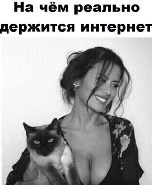 Сборник мемов для взрослых с черным юмором