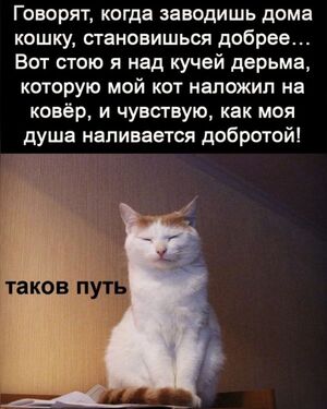 Мы позаботились о том, чтобы вы получили максимум позитива!