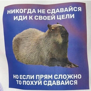 Ура, выходные! Время для смеха и позитива! 