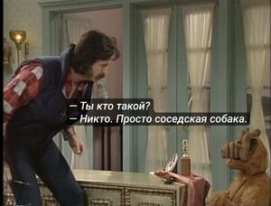 Выходные уже здесь, а значит, пора заряжаться позитивом!