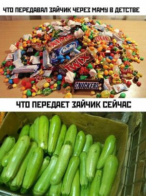 Среда – не повод для уныния! Заряжаемся позитивом с нашим сборником приколов!