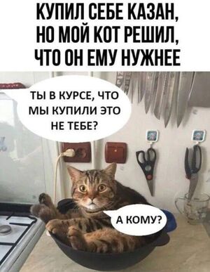 Смех продлевает жизнь! Загляни в наш сборник убойного юмора!