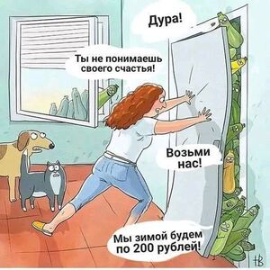 Готовься к взрыву позитива!