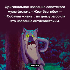 Собачья жизнь