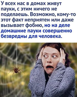 Середина недели? Пора зарядиться позитивом!