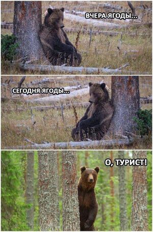 Убойные мемы и комментарии для настроения!