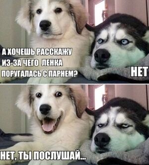 Встречайте пятницу с улыбкой!