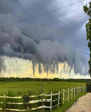 Природе ещё есть чем нас удивить… и напугать (34 фото)
