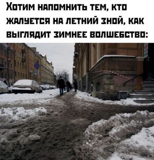 Подборка для отличного настроения: смех, мемы и позитив!