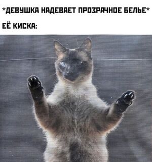 Поднимите себе настроение по-взрослому!