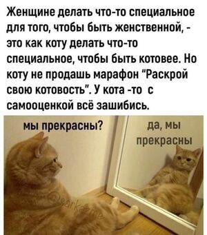 Максимум смеха! Большой сборник убойного юмора!