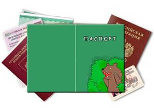 История про паспорт