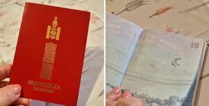 Монгольский паспорт действительно впечатляет!