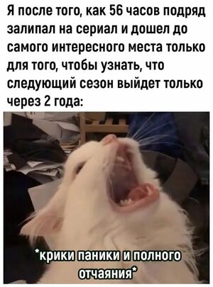 Выходные начинаются с улыбки! 