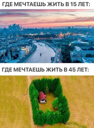 Лучшие мемы и смешные комментарии из социальных сетей!